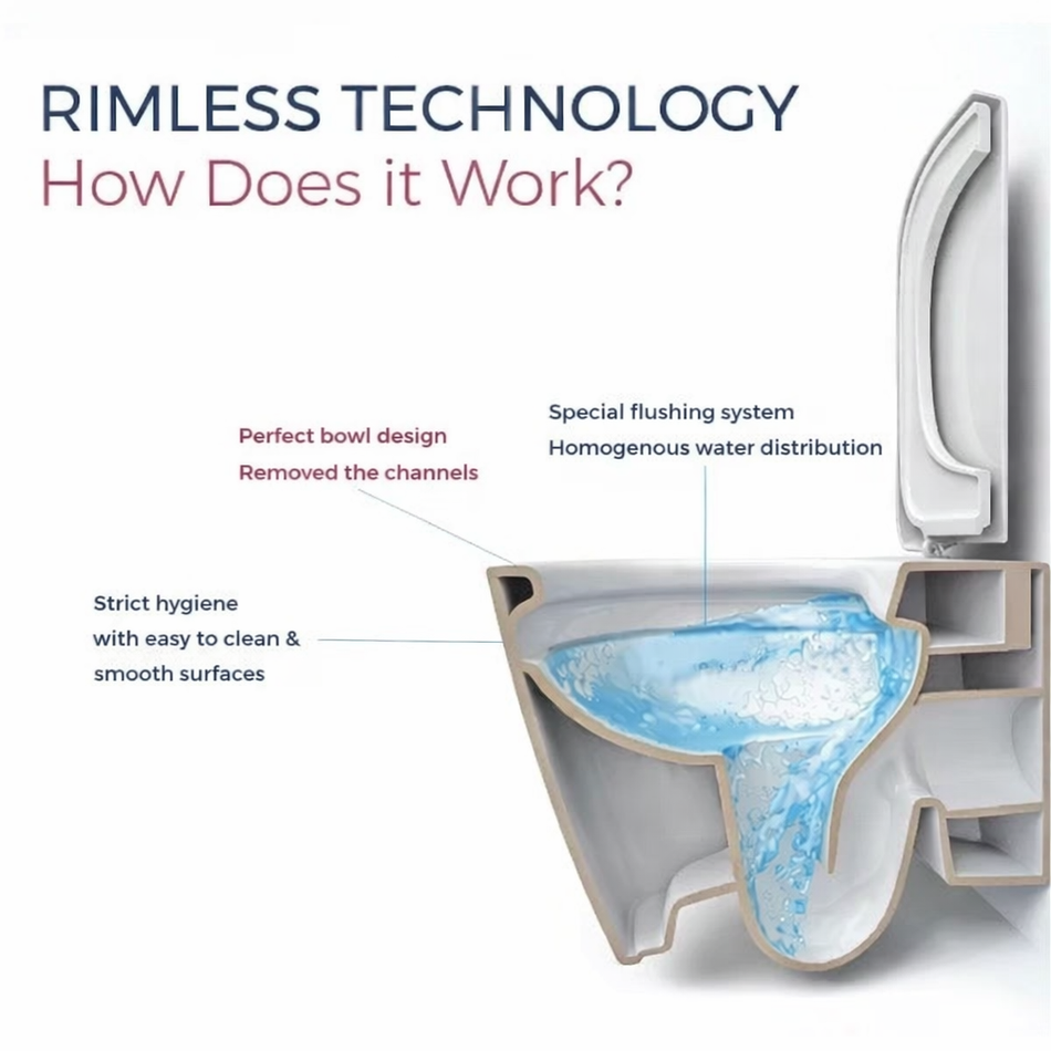 Proton Rimless All In One WC