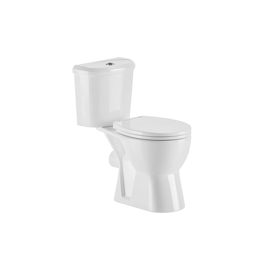 Proton Rimless All In One WC
